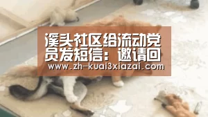 溪头社区给流动党员发短信:邀请回家参加座谈会-快3下载(图2) 快3下载