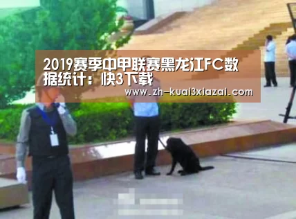 2019赛季中甲联赛黑龙江FC数据统计：快3下载